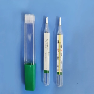 Termómetro Clínico de Mercurio (Tamaño Grande)